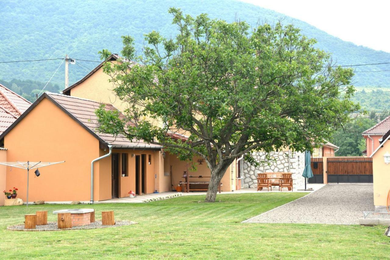 Panorama Vendégház / Guesthouse Felsőtárkány Extérieur photo