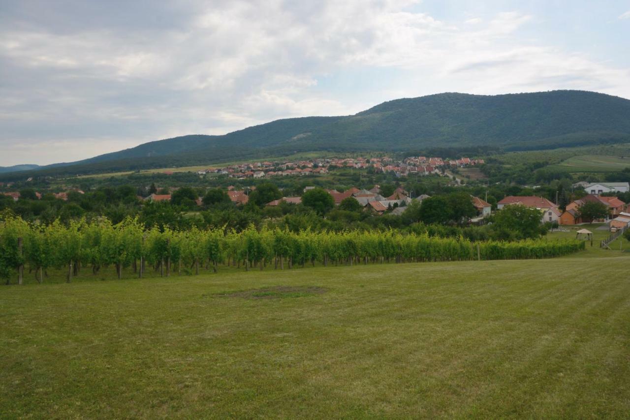 Panorama Vendégház / Guesthouse Felsőtárkány Extérieur photo